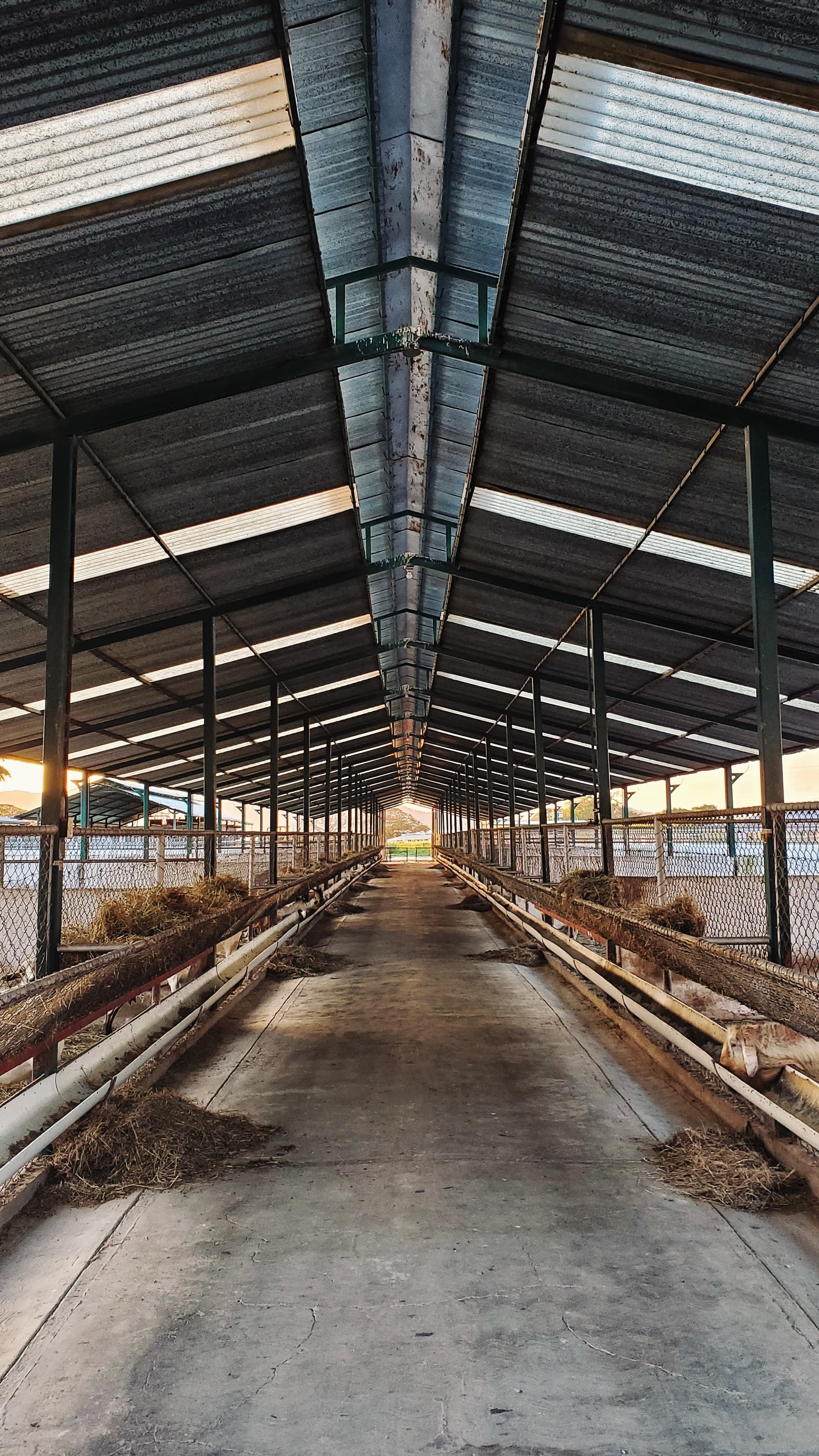 $26M Agricultural Buildings Contractor in Iowa