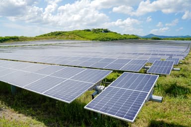 Coordinated Placement for Utility-Scale Solar Contractor